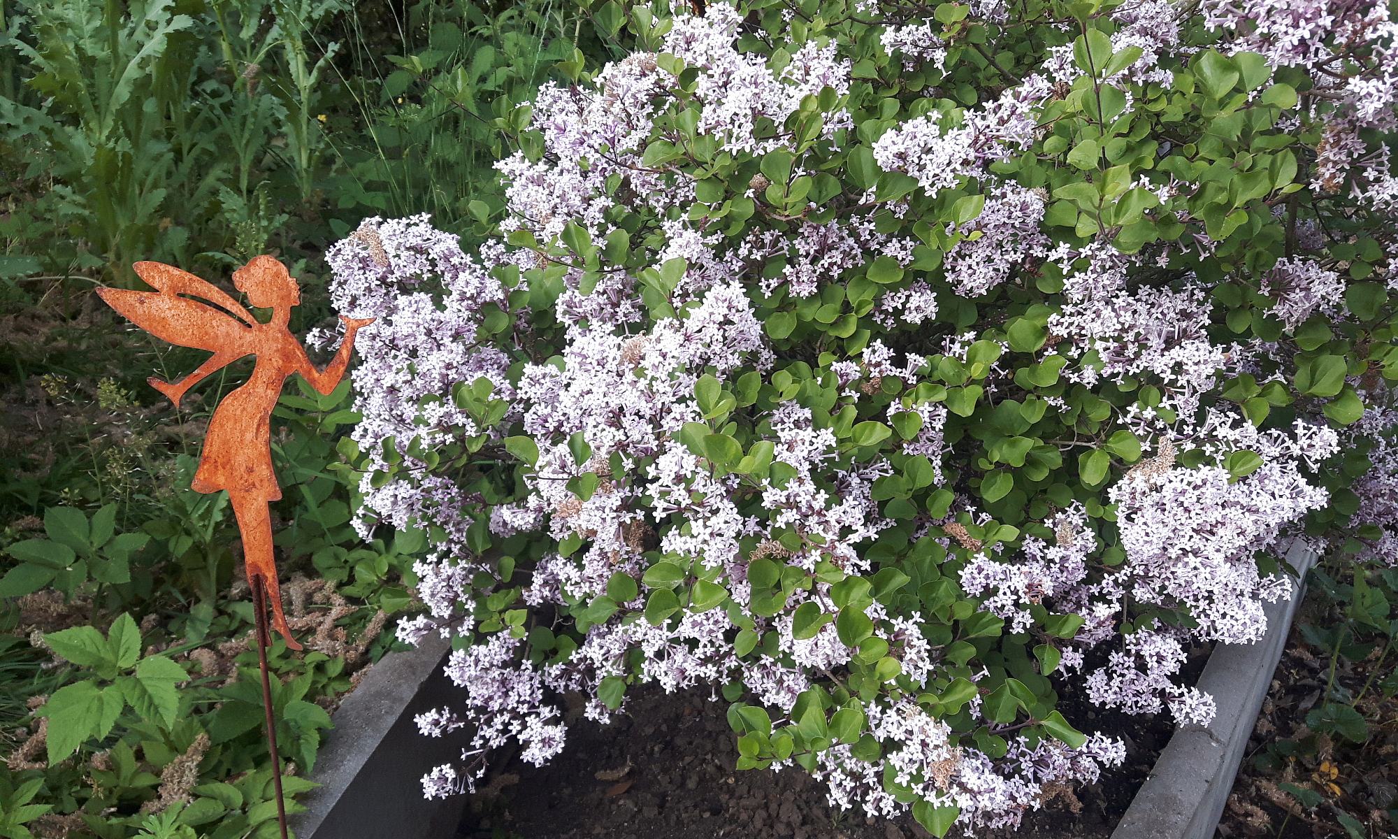Garten 2020