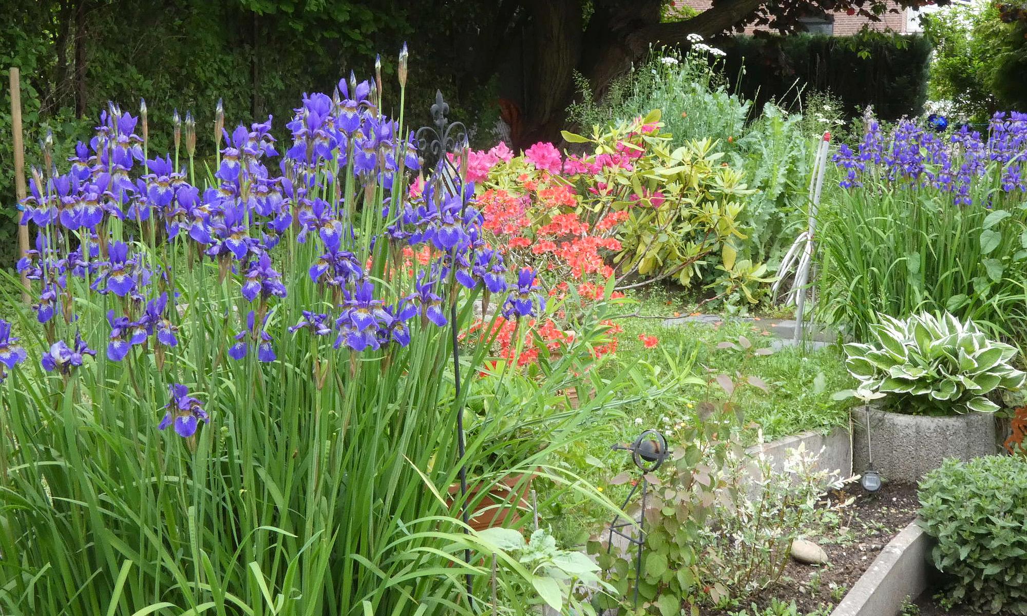 Garten 2021